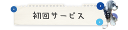 初回サービス
