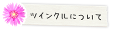 ツインクルについて