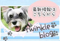 ツインクル最新ニュース ツインクル最新ニュース