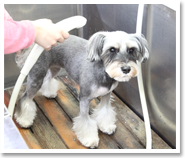 料金・コースについてのお問い合わせ