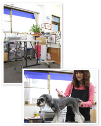 トリミングルーム