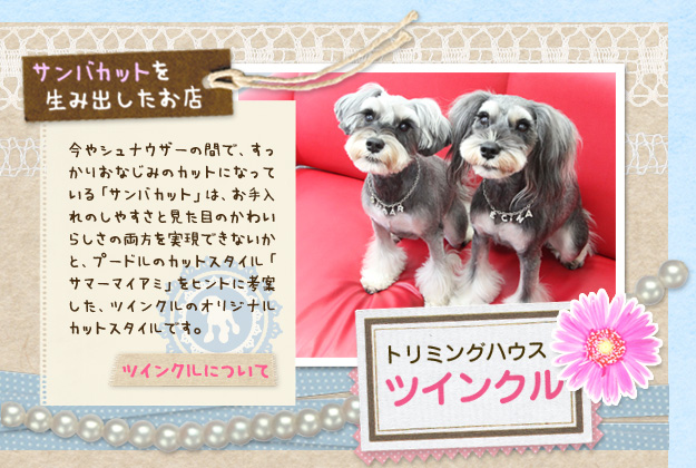 トリミングハウス&nbsp;ツインクル