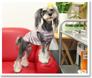 よくあるご質問へ